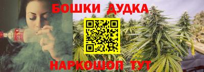 PSILOCYBIN Обнинск