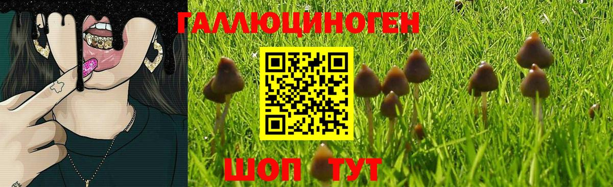 Галлюциногенные грибы мицелий Светлоград